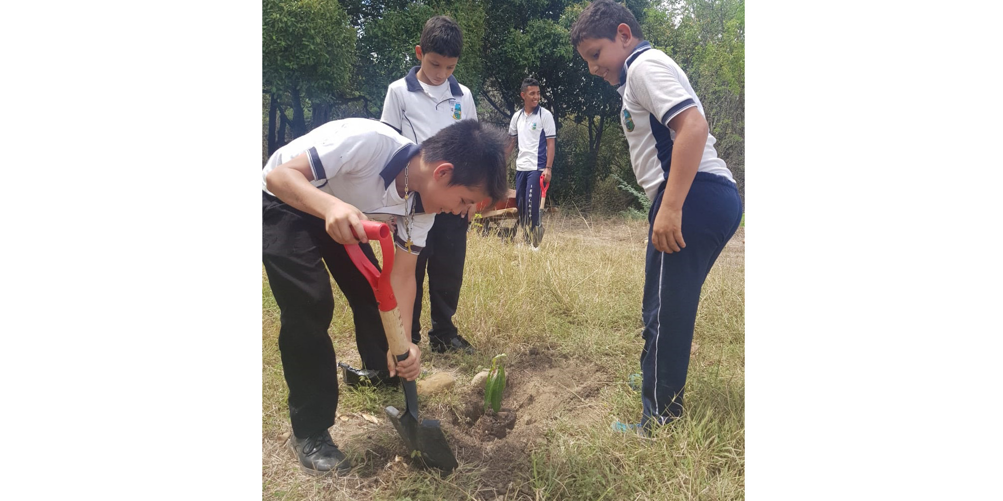 En Girardot, estudiantes siembran árboles frutales frente al cambio climático



 










