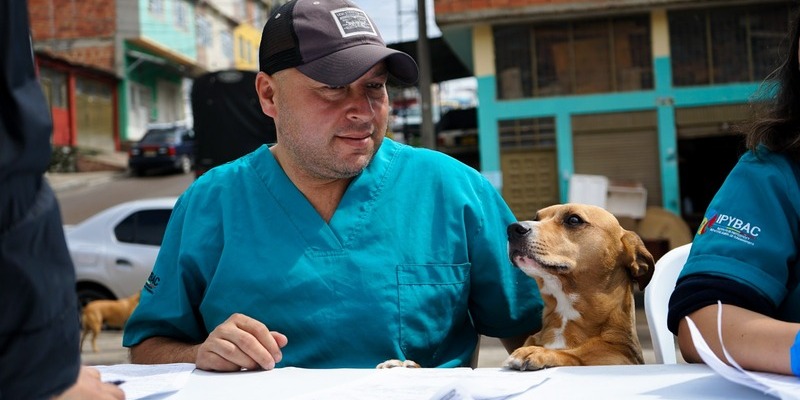 Cuarta jornada de bienestar animal conjunta entre Bogotá y Cundinamarca