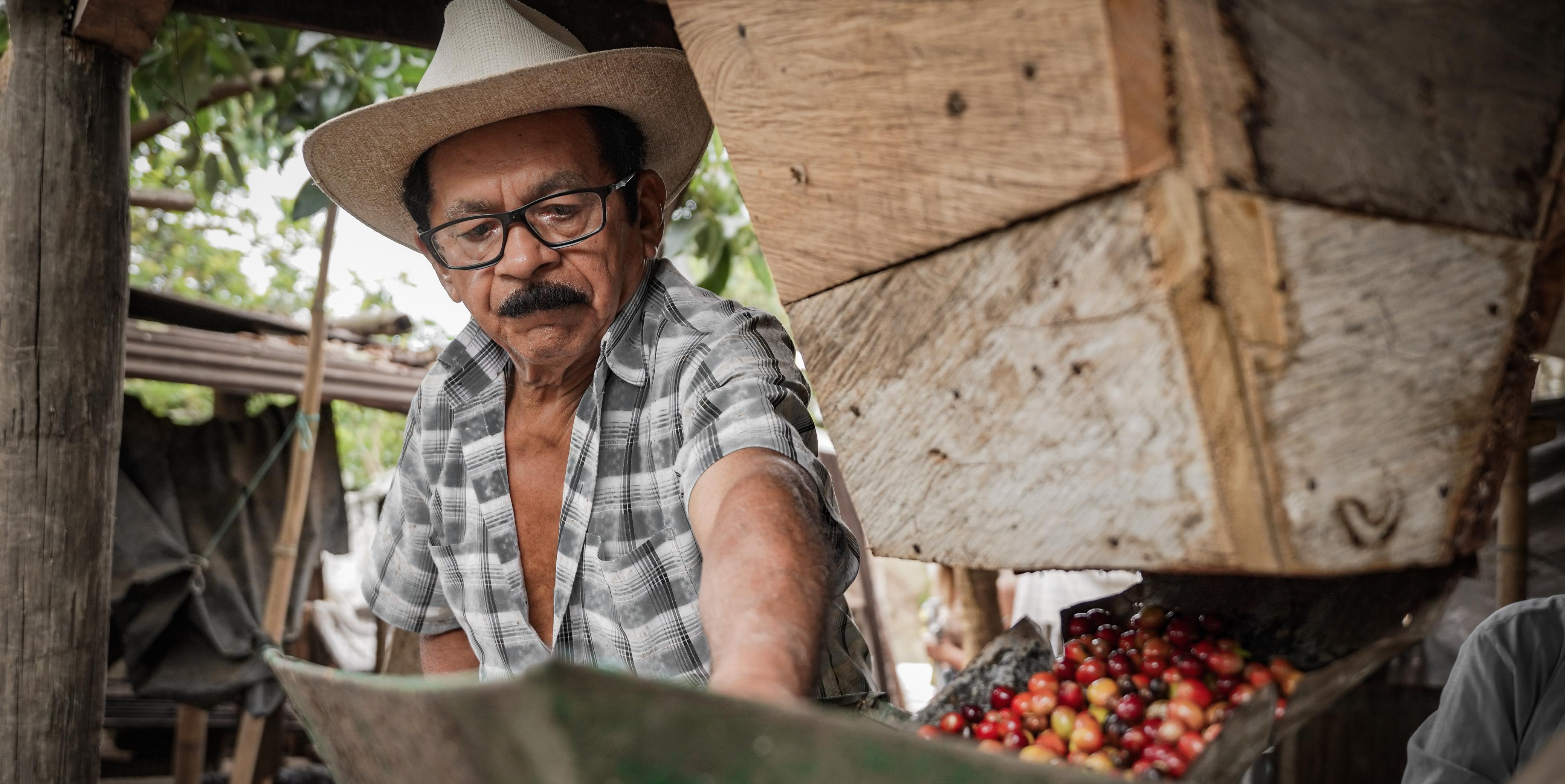 Pequeños productores agropecuarios aprovechen la oportunidad: incentivos LEC e ICR disponibles

