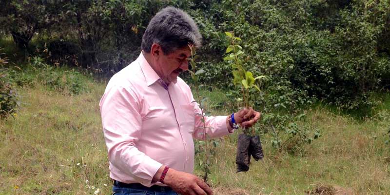 Cundinamarca más verde
