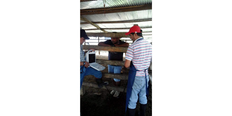 Secretaría de Agricultura fortalece proceso de inseminación bovina en el municipio de Ubalá









