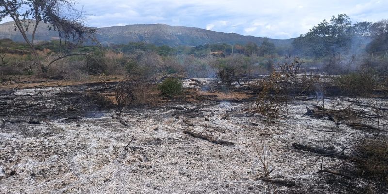 Cundinamarca enfrenta 63 emergencias por lluvias y 12 incendios forestales en julio


