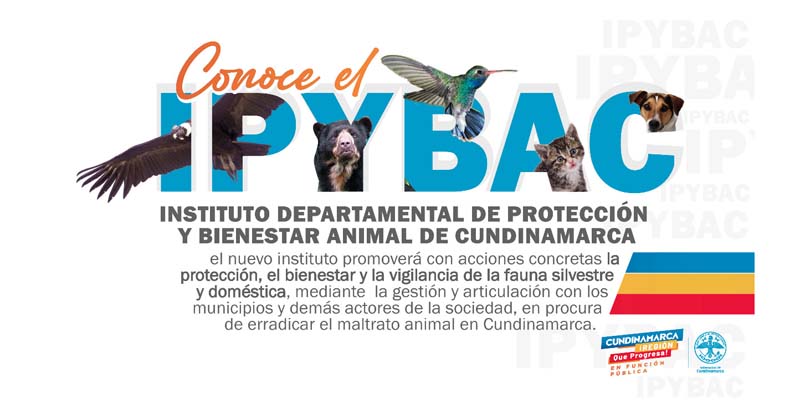 Unidad Administrativa Especial para la Gestión Catastral y el Instituto de Protección y Bienestar Animal de Cundinamarca son una realidad