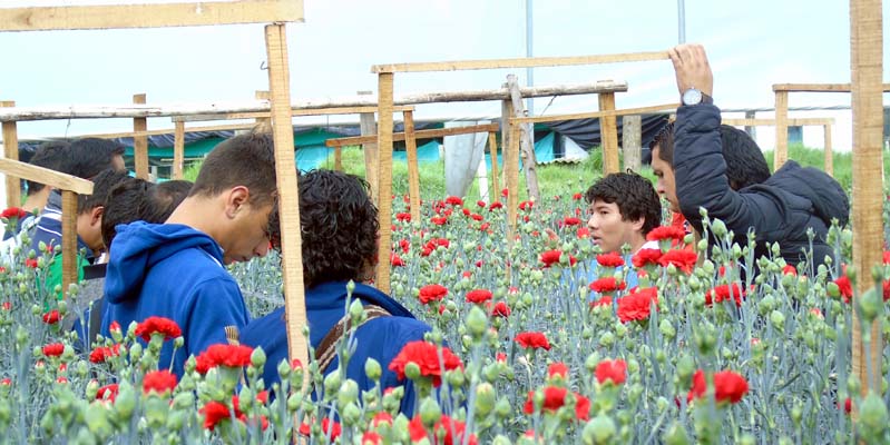 $7.204 millones para el fortalecimiento del sector floricultor