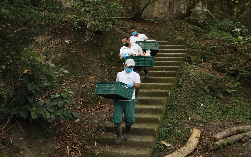 Más de 700 millones se invierten para alimentación de la fauna silvestre de los zoológicos de Cundinamarca