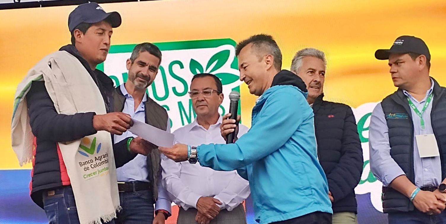 Productores de papa de Cundinamarca podrán acceder a créditos con tasa subsidiada del 4%
