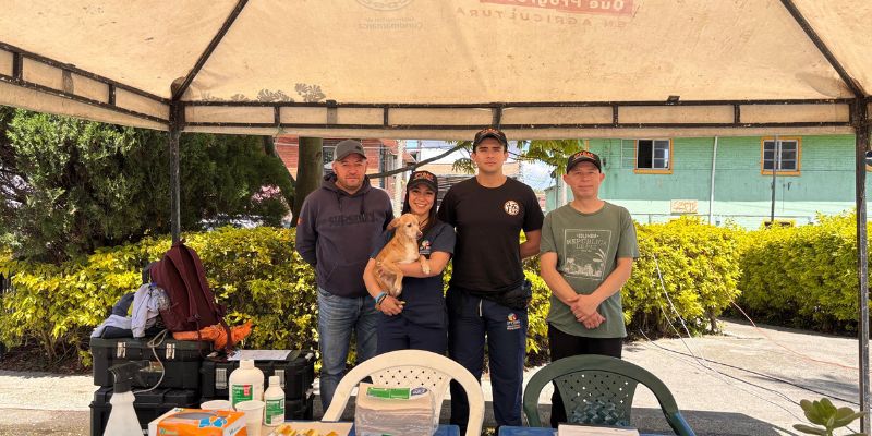 Más de 100 animales de compañía atendidos en jornadas de bienestar en El Colegio y San Antonio del Tequendama
