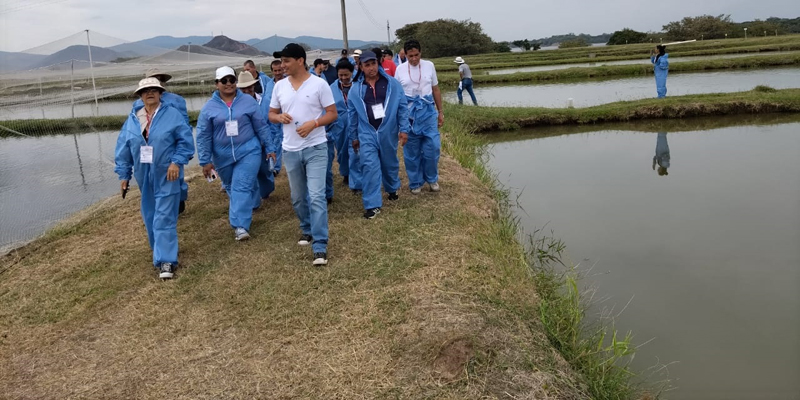 Productores piscícolas del Cundinamarca participaron en la primera Escuela de Campo





