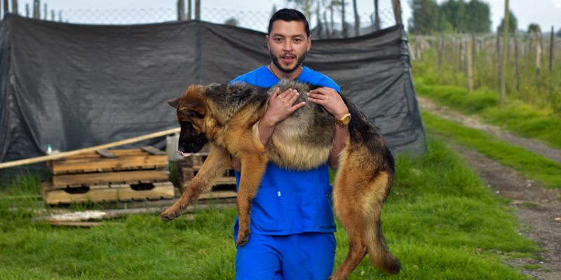 El IPYBAC, primer instituto de bienestar animal departamental en Colombia