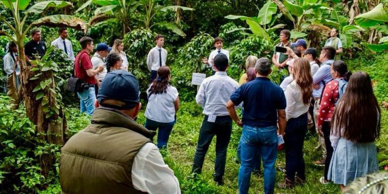 Cundinamarca impulsa al sector cafetero con inversión y apoyo directo a productores
