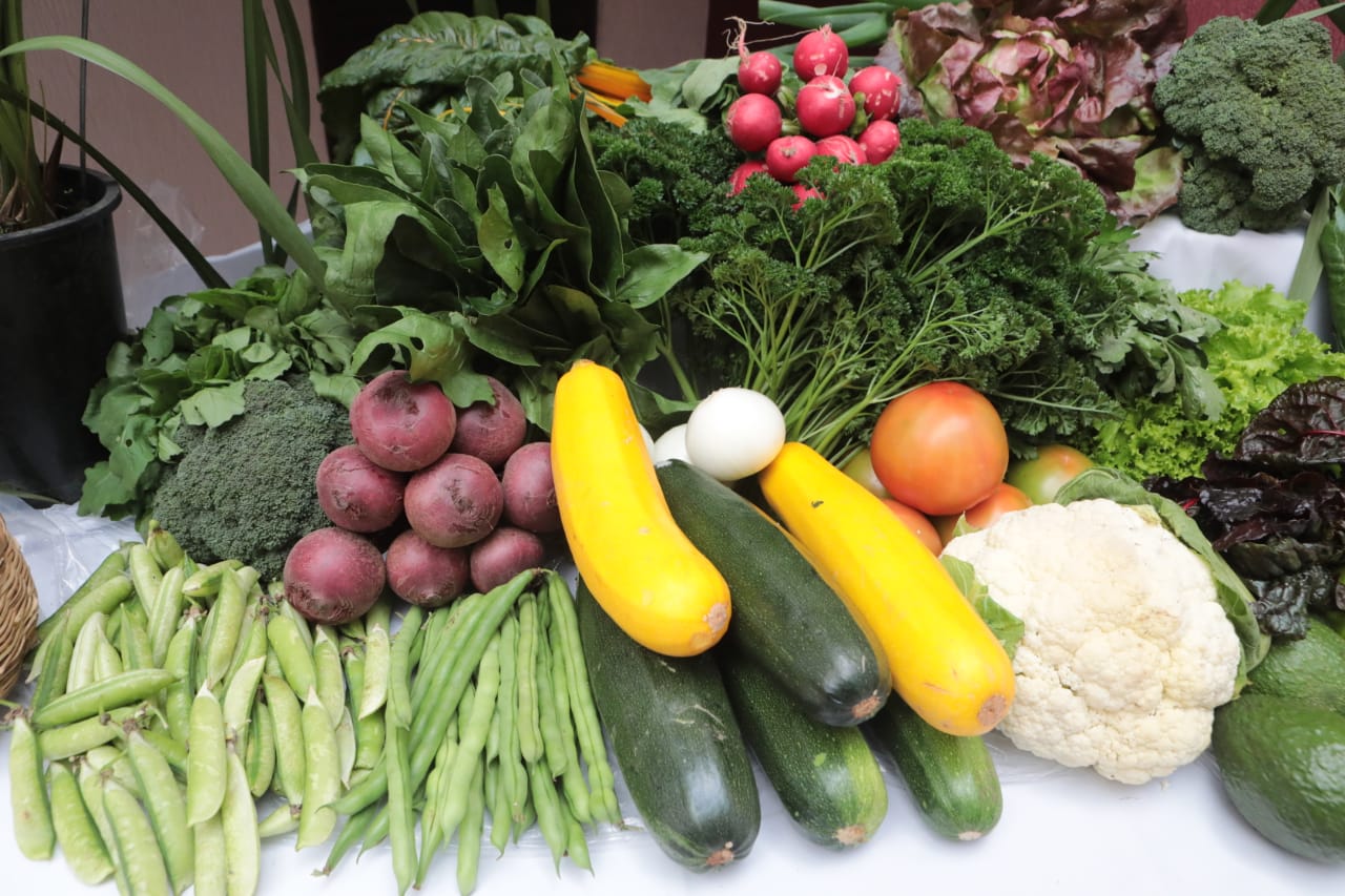 Acuerdo para garantizar la seguridad alimentaria se consolida la integración regional