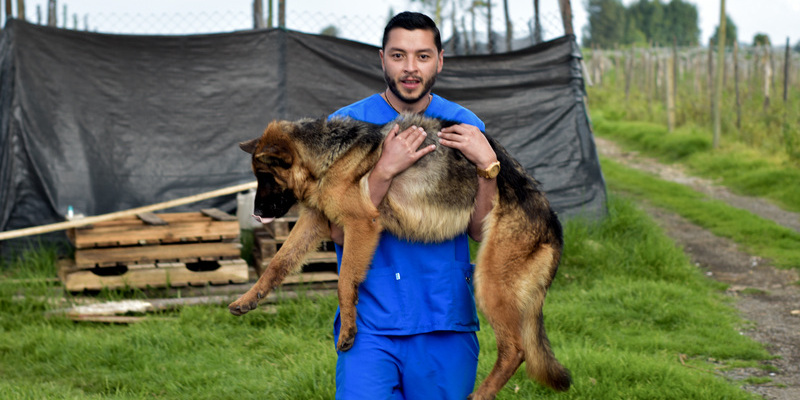 En Cundinamarca se impone la mayor sanción económica por maltrato animal en la historia de Colombia