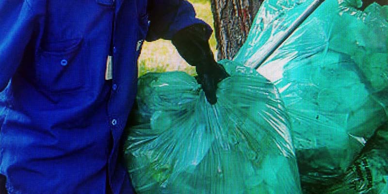 Reciclar, apoyo importante para el desarrollo sostenible