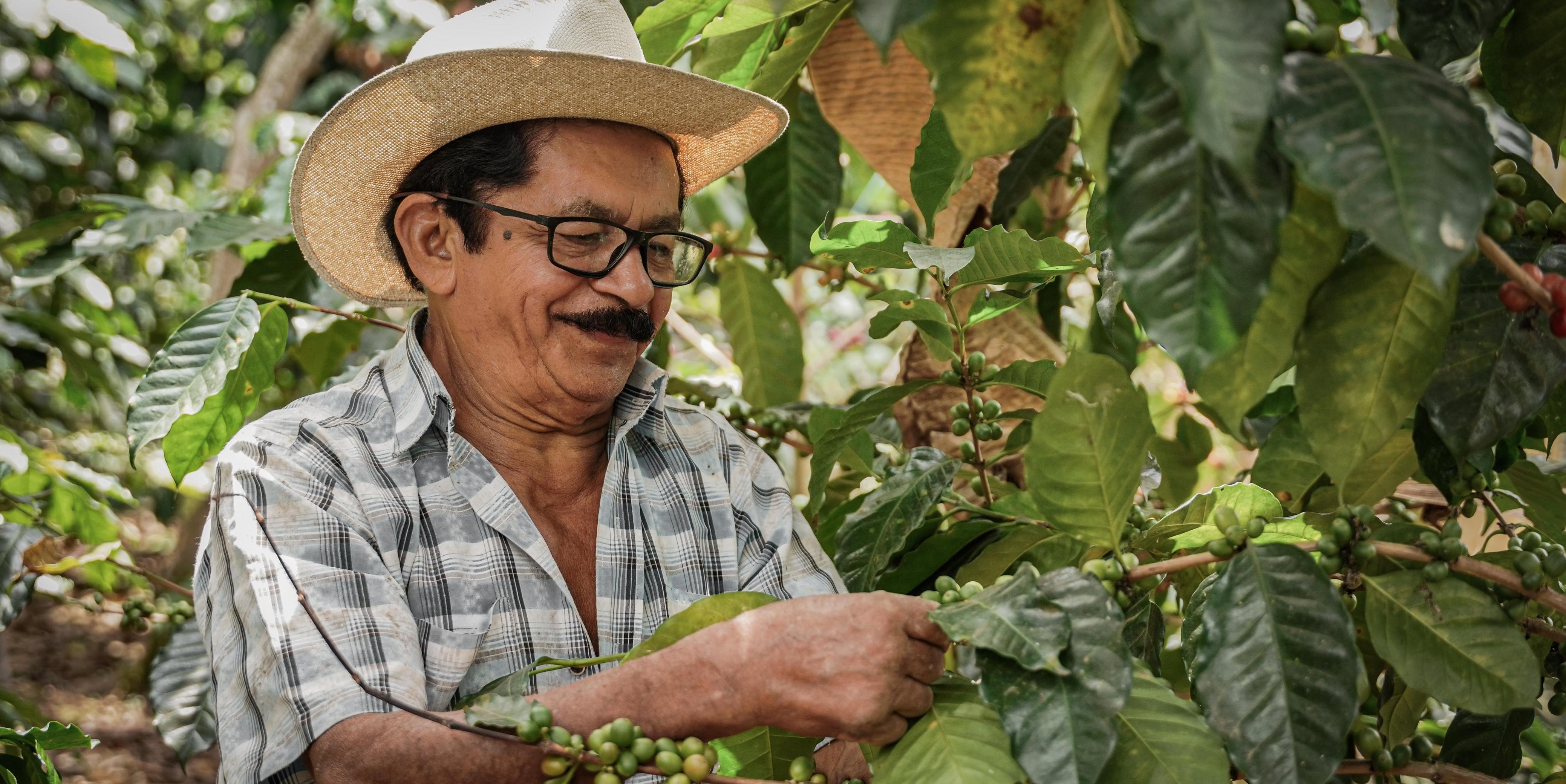 Pequeños productores agropecuarios aprovechen la oportunidad: incentivos LEC e ICR disponibles

