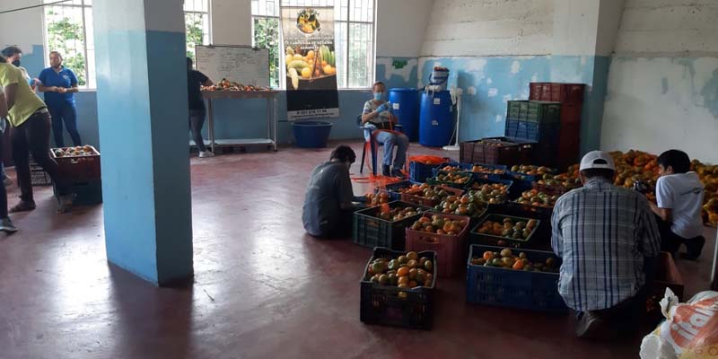 A comprar productos frescos del campo en la plaza de mercado de Madrid
