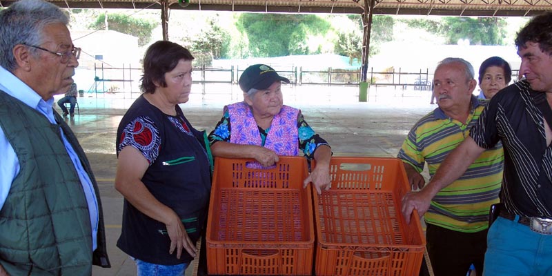 Comerciantes de plaza de mercado de Pacho mejoran exhibición de sus productos
































