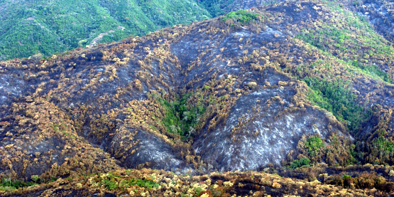 Controlado en 99% incendio forestal que llevaba tres días activo en Girardot





