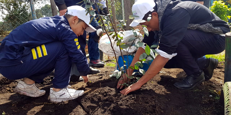 Estudiantes de El Rosal, comprometidos con mitigar los efectos del cambio climático








