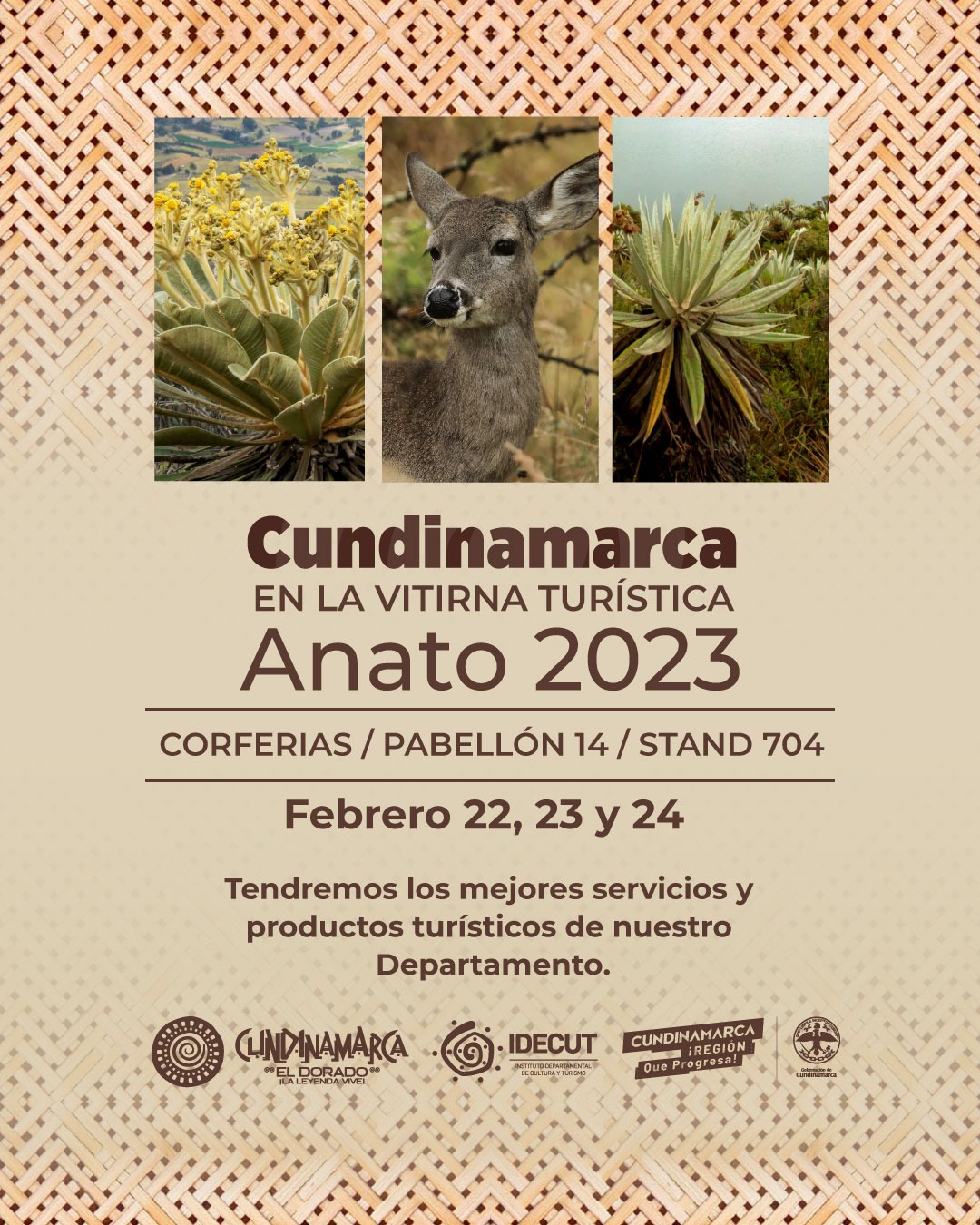 Cundinamarca, más de 20 años presente en ANATO 